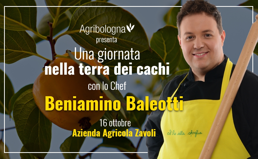 Cachi "Questo l’ho fatto io": porte aperte – su prenotazione - dell’Azienda Agricola Zavoli