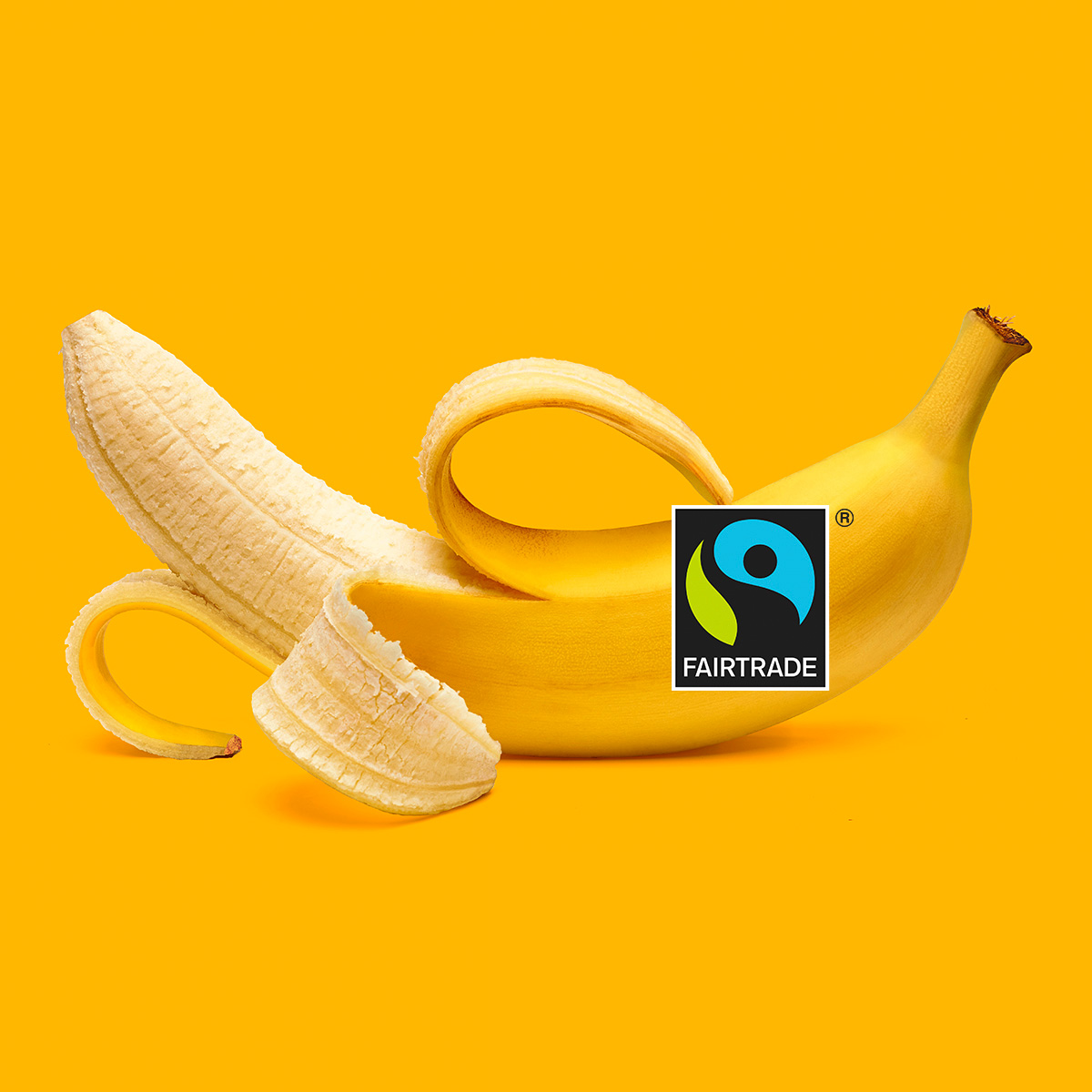 Fairtrade certifica Conor